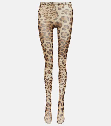 Collant con stampa leopardata - Dolce&Gabbana - Modalova