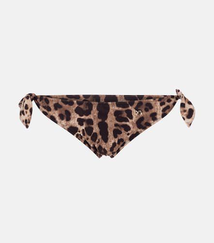 Leopard-print bikini bottoms - Dolce&Gabbana - Modalova