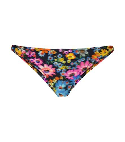 Braga de bikini floral - Stella McCartney - Modalova