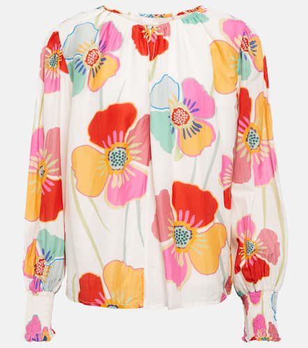 Avery floral cotton and silk blouse - Velvet - Modalova