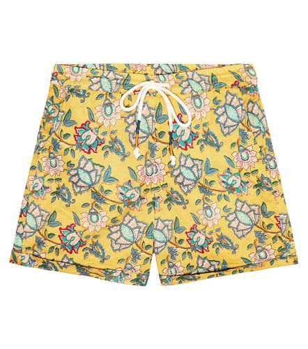 Aliki floral cotton shorts - Louise Misha - Modalova