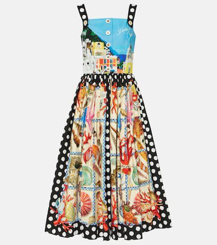 Capri printed cotton midi dress - Dolce&Gabbana - Modalova