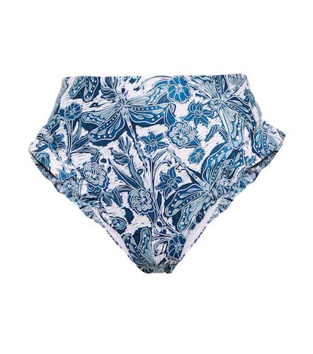 Braga de bikini Jengibre estampada - Agua by Agua Bendita - Modalova