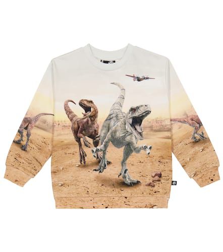 X Jurassic World Miksi cotton sweater - Molo - Modalova
