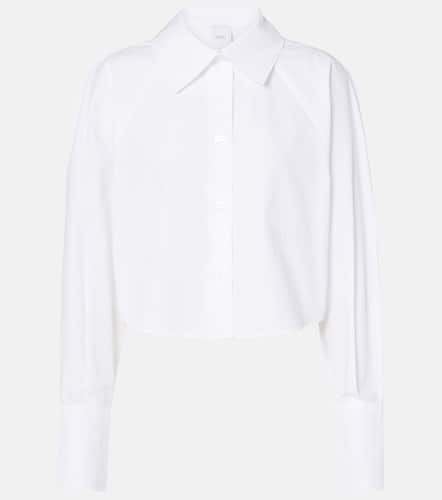 Patou Cotton poplin cropped shirt - Patou - Modalova