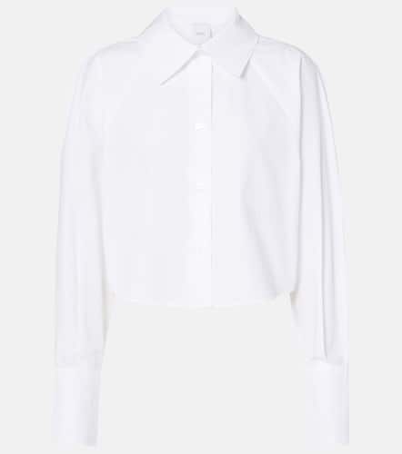 Patou Cotton poplin cropped shirt - Patou - Modalova