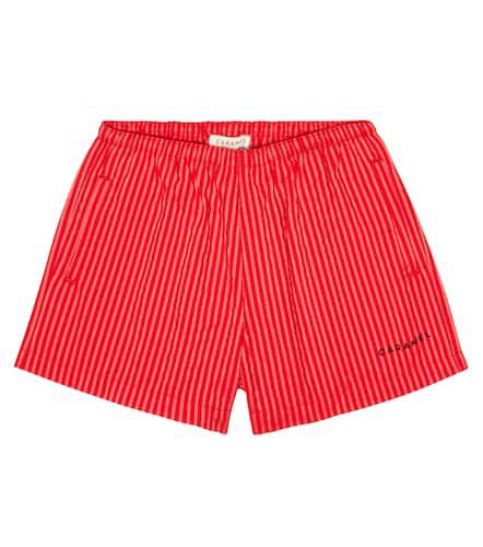 Kohlrabi striped swim trunks - Caramel - Modalova