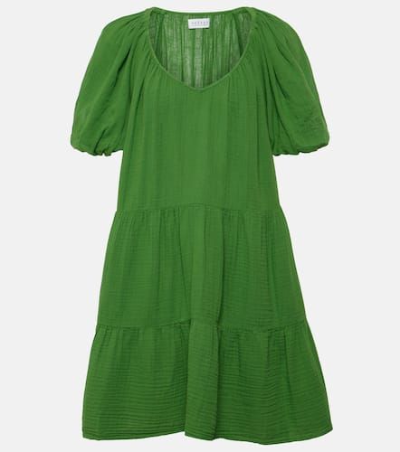 Velvet Robe Helena en coton - Velvet - Modalova