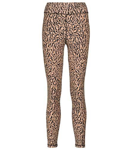 High-rise leopard print leggings - The Upside - Modalova