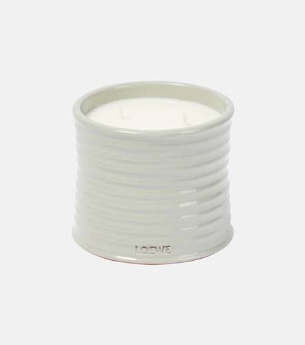 Candela profumata Mushroom media - Loewe Home Scents - Modalova