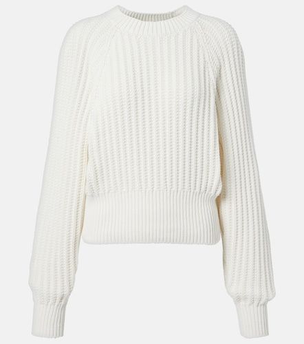 Jersey Moltrasio de algodón - Loro Piana - Modalova