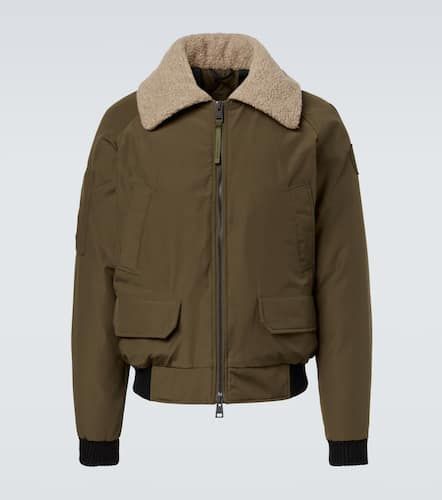 Veste bomber Chilliwack - Canada Goose - Modalova