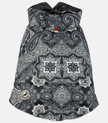 Poldo Dog Couture dog coat - Moncler - Modalova