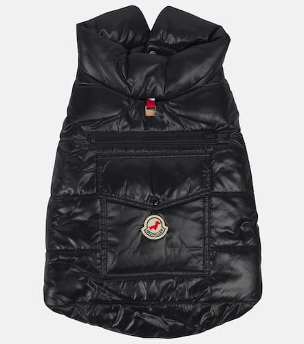 Chaleco acolchado para perro Poldo Dog Couture - Moncler - Modalova