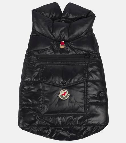 Poldo Dog Couture - Cappotto per cani - Moncler - Modalova