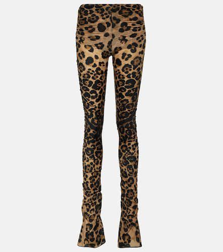 Leopard-print jersey leggings - Blumarine - Modalova