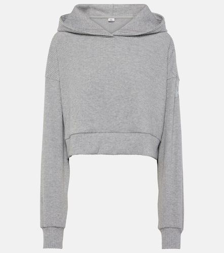 Muse ribbed-knit cropped hoodie - Alo Yoga - Modalova