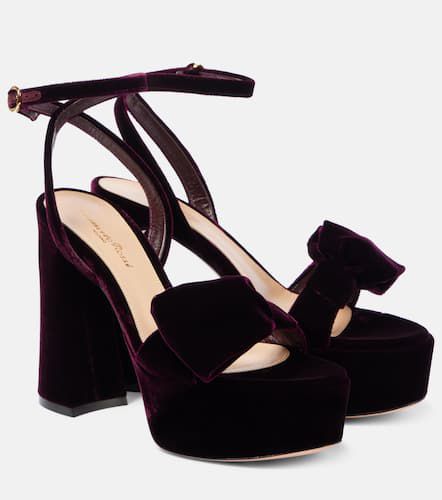 Plateausandalen 70 aus Samt - Gianvito Rossi - Modalova