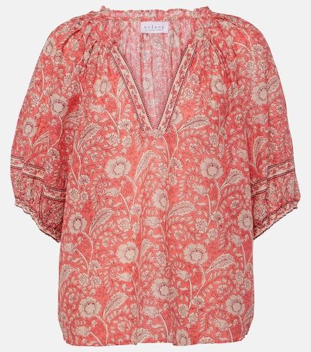 Blusa Lyra de algodón floral - Velvet - Modalova