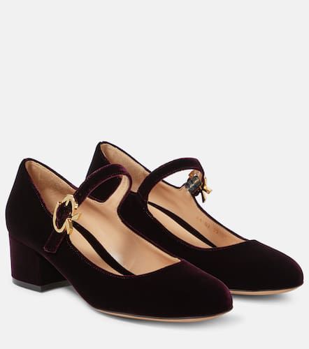 Mary Ribbon 45 velvet pumps - Gianvito Rossi - Modalova