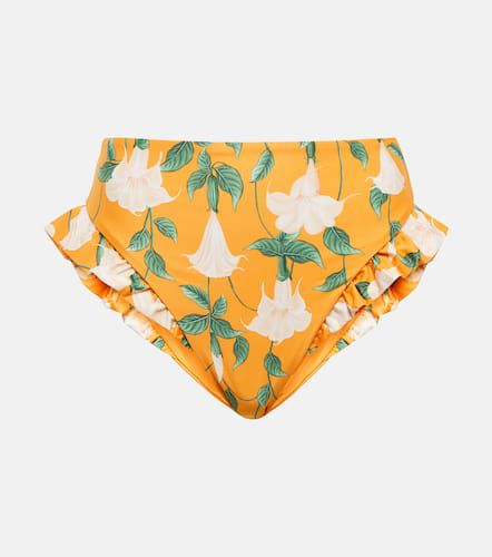 Jengibre high-waisted bikini bottoms - Agua by Agua Bendita - Modalova