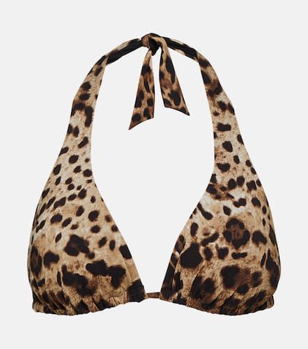 Leopard-print bikini top - Dolce&Gabbana - Modalova