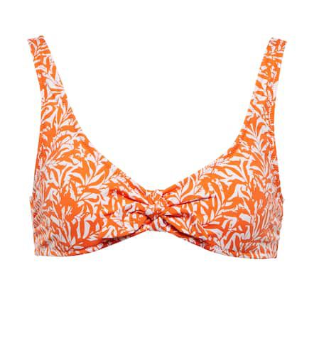 Cote D'Azur printed bikini top - Heidi Klein - Modalova