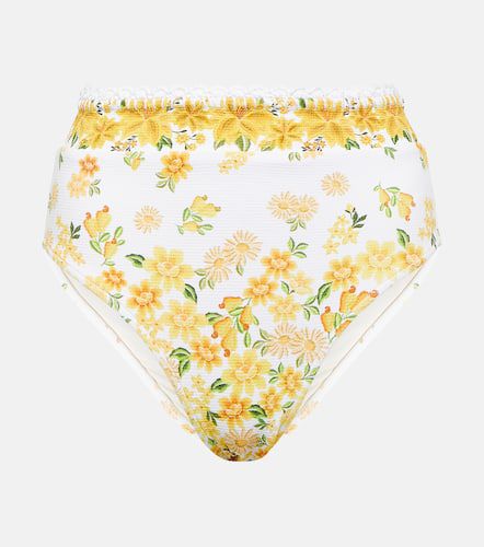 Azaleia floral printed bikini bottoms - Farm Rio - Modalova