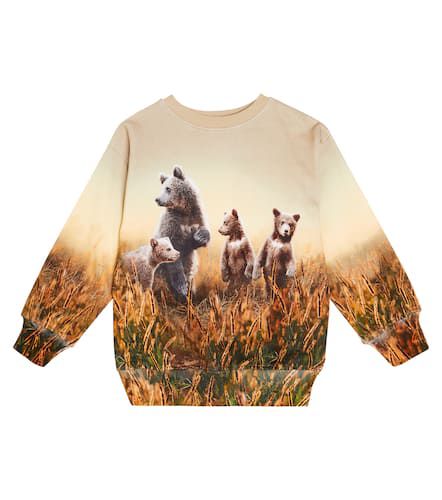 Mattis printed cotton sweatshirt - Molo - Modalova