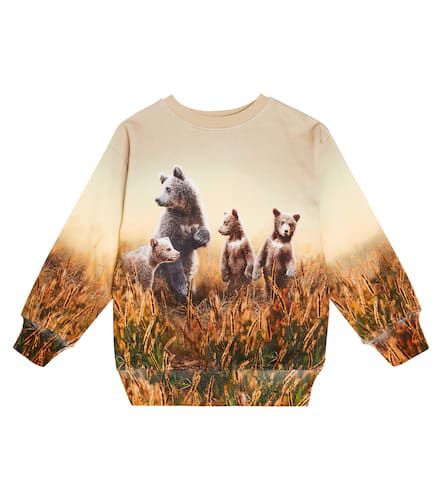 Sweatshirt Mattis aus Baumwolle - Molo - Modalova