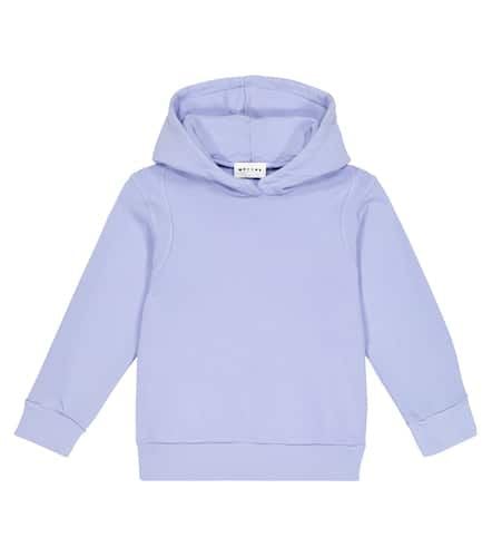 Morley Hoodie Rowan aus Baumwolle - Morley - Modalova