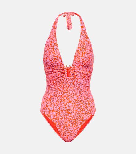 Limpopo floral halterneck swimsuit - Heidi Klein - Modalova