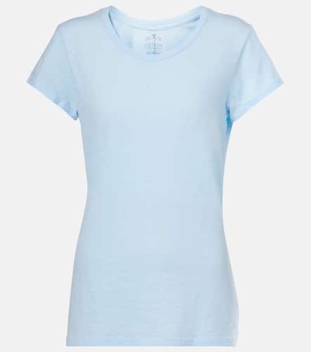 Velvet T-shirt Odelia en coton - Velvet - Modalova