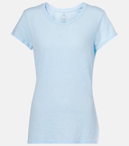 Velvet T-shirt Odelia in cotone - Velvet - Modalova