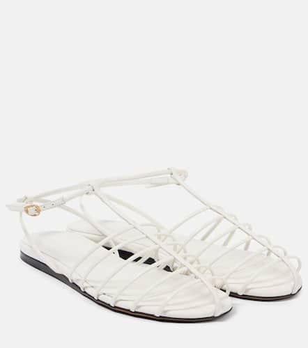 Sandalen Tee Cage aus Leder - Proenza Schouler - Modalova