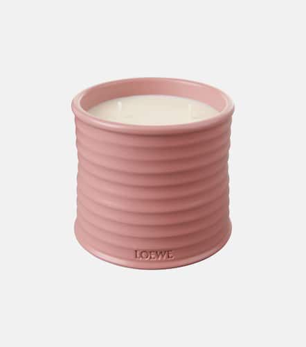 Candela profumata Ivy media - Loewe Home Scents - Modalova