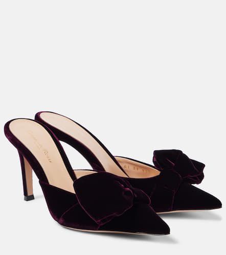 Gianvito Rossi Mules 85 aus Samt - Gianvito Rossi - Modalova