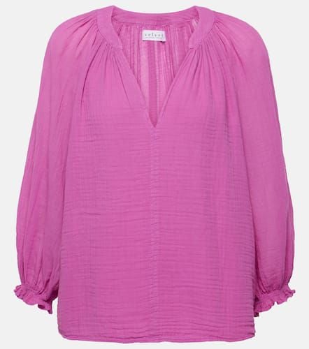 Velvet Denice cotton blouse - Velvet - Modalova