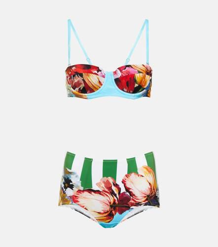 Portofino bikini estampado - Dolce&Gabbana - Modalova