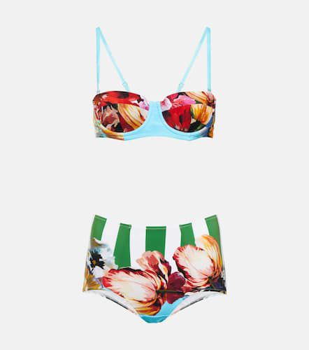 Portofino printed bikini - Dolce&Gabbana - Modalova