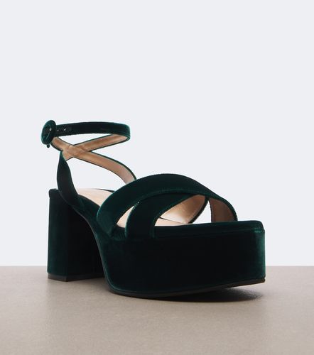 Sandali platform in velluto - Gianvito Rossi - Modalova