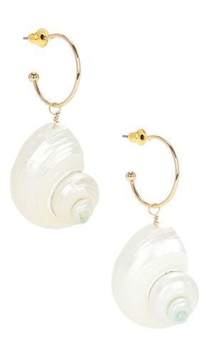 Shell Earrings in - 8 Other Reasons - Modalova