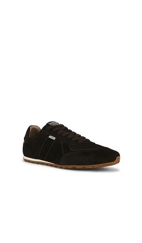 Liam Low Top Sneaker in . Size 10. Also in 11, 12, 13, 8, 9 - ALLSAINTS - Modalova