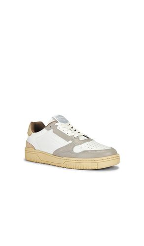 Regan Low Top Sneaker in ,. Size 7. Also in 11 - ALLSAINTS - Modalova
