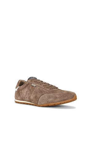 Liam Low Top in . Size 8. Also in 9, 11, 12 - ALLSAINTS - Modalova