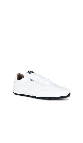 Liam Low Top in . Size 8. Also in 9, 10, 11, 12 - ALLSAINTS - Modalova