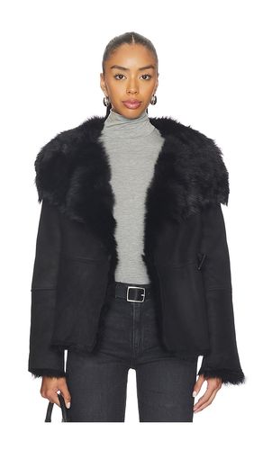 Wilton Reversible Shearling Jacket in . Size M. Also in L - ALLSAINTS - Modalova