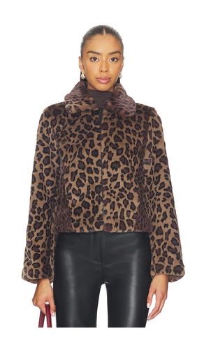 Saye Faux Fur Jacket in . Size S. Also in M - ALLSAINTS - Modalova
