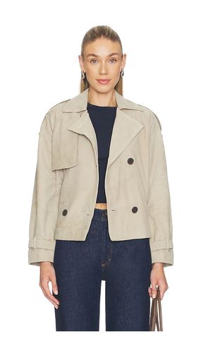 Reed Suede Jacket in . Size L. Also in M, S - ALLSAINTS - Modalova