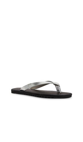 Sydney Sandal in , . Size 38. Also in 40 - ALLSAINTS - Modalova